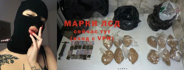 spice Осинники
