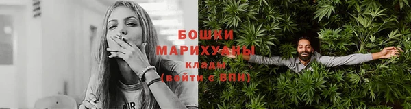 spice Осинники