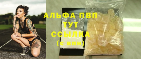 стафф Осташков