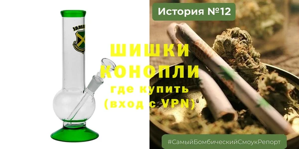 стафф Осташков