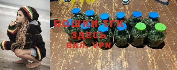 spice Осинники
