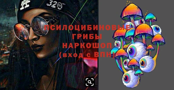 МДПВ Остров