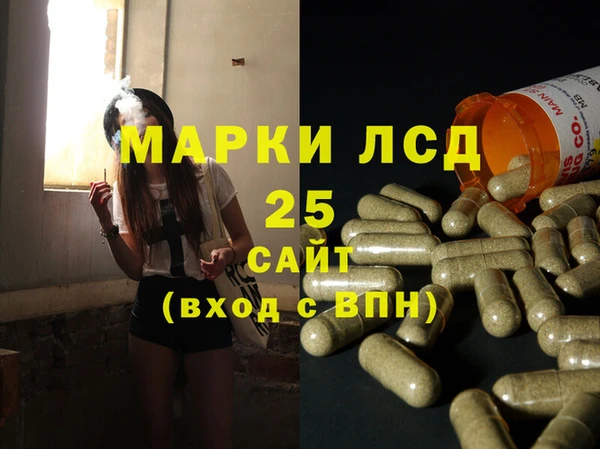 стафф Осташков