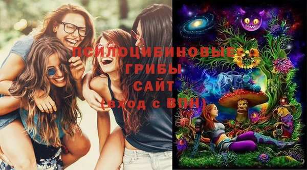 стафф Осташков