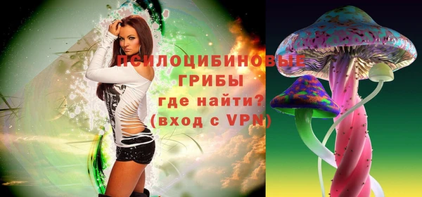 spice Осинники