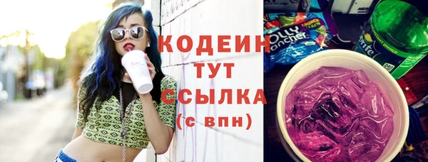 стафф Осташков