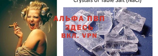 стафф Осташков