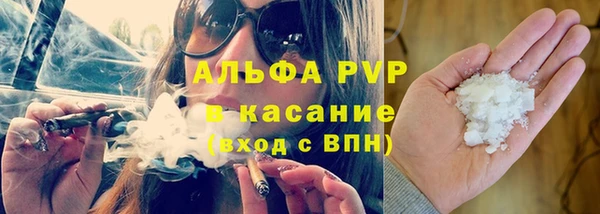 spice Осинники