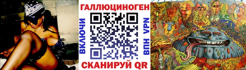 Галлюциногенные грибы Psilocybine cubensis  Покачи 