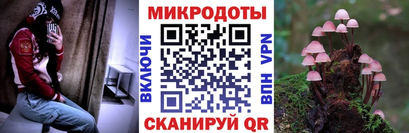 Псилоцибиновые грибы Psilocybine cubensis Покачи